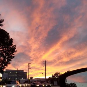 Meet your Posher, Carl